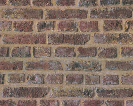 AS Creation Trendwall | 37161-1 / 371611