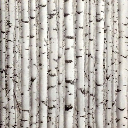Dutch Wallcoverings 573419
