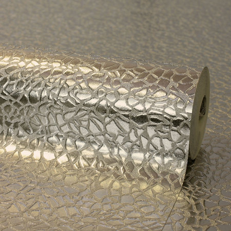 Platinum fd42482 Zilver