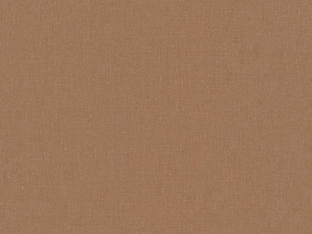 BN Wallcoverings Texture Stories Bruin / Oranje 18403 - Oranje
