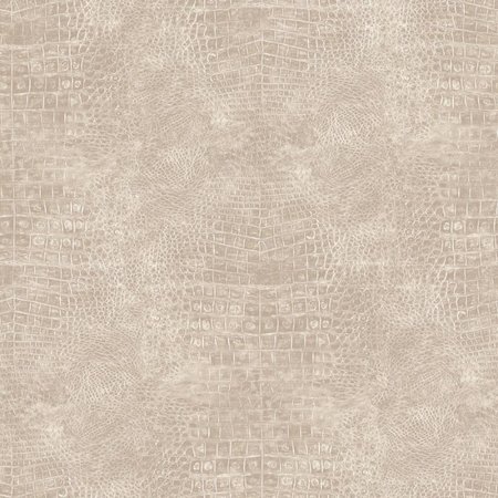 Noordwand TopChic (2021) - 68765 / G67502