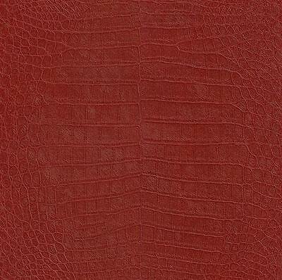 Rasch African Queen II 474114