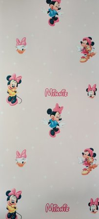 PM21209 Minnie Mouse