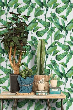 BN Wallcoverings On The Spot 219350