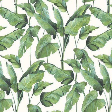 BN Wallcoverings On The Spot 219350