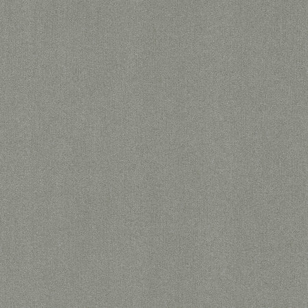 Rasch Freundin III 441611 met glitter