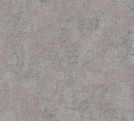 AS Creation Desert Lodge 38484-2 / 384842 Grijs Beton
