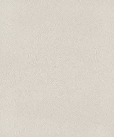 Noordwand Dune 32502 Beige - The New Textures Book
