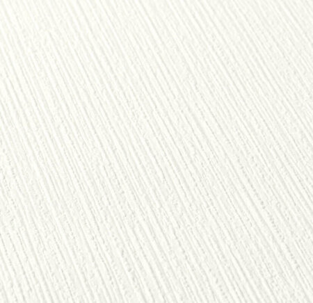 AS Creation 111 Shades of White 2885-78 / 288578 - Wit