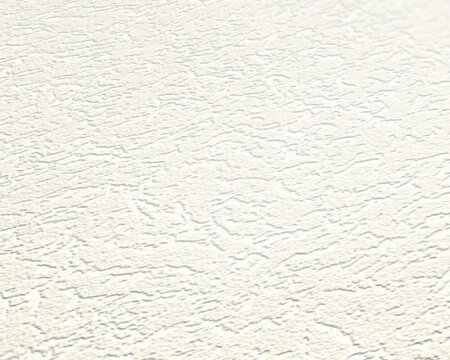 AS Creation 111 Shades of White 3223-19 / 322319 - Wit