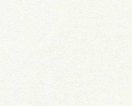 AS Creation 111 Shades of White 3250-13 / 325013 - Wit