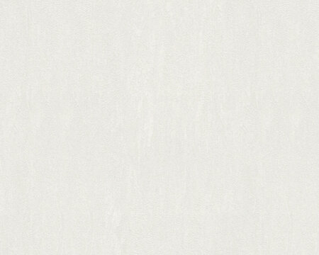 AS Creation 111 Shades of White 3607-17 / 360717 - Wit