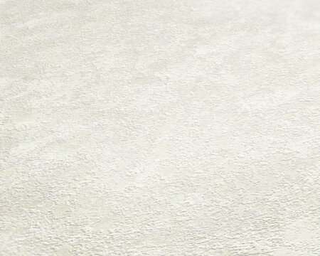 AS Creation 111 Shades of White 37902-2 / 379022 - Wit