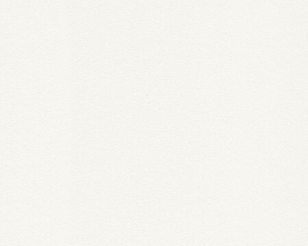 AS Creation 111 Shades of White 93578-1 / 935781 - Wit