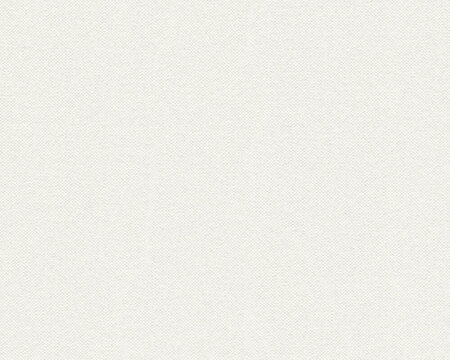 AS Creation 111 Shades of White 93676-1 / 936761 - Wit