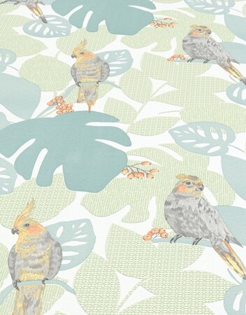 Tropical bird Behang