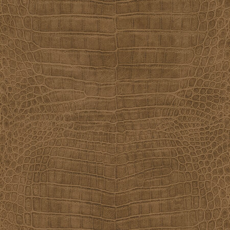 Rasch African Queen 3 - 751314 Bruin