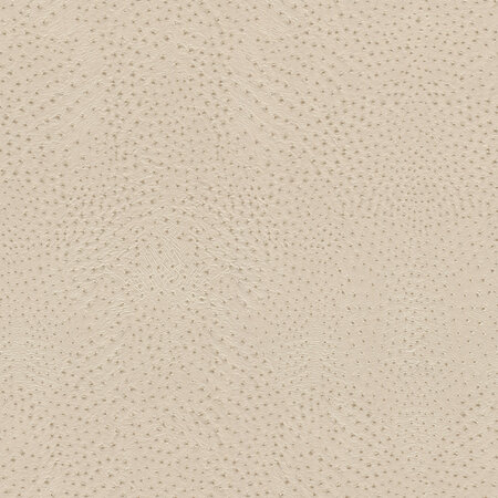 Rasch African Queen 3 - 751512 Beige