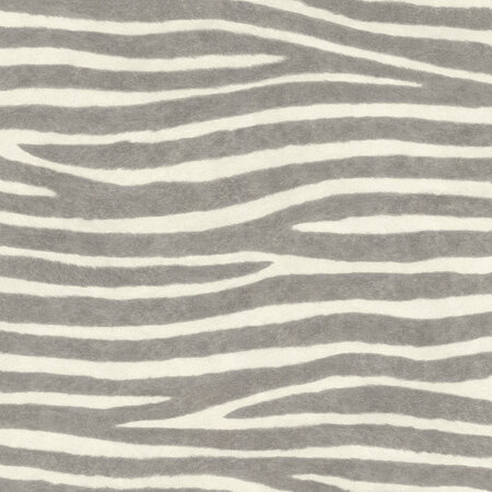 Rasch African Queen 3 - 751734 Grijs