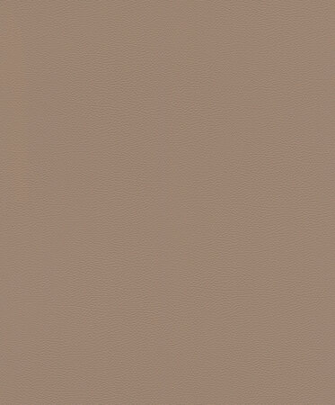 Rasch African Queen 3 - 752724 Bruin