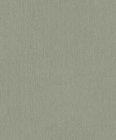 BN Wallcoverings Monochrome 221414 Groen