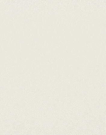 Dutch Wall Decor Erismann Elle Decoration 3 10335-02 Beige