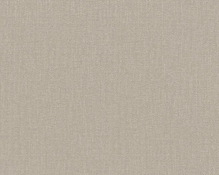 AS Creation Terra - 2117-12 / 211712 Grijs / Taupe