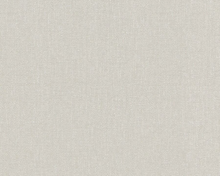 AS Creation Terra - 2982-87 / 298287 Beige