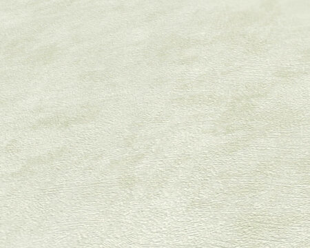 AS Creation Terra - 38922-5 / 389225 Groen