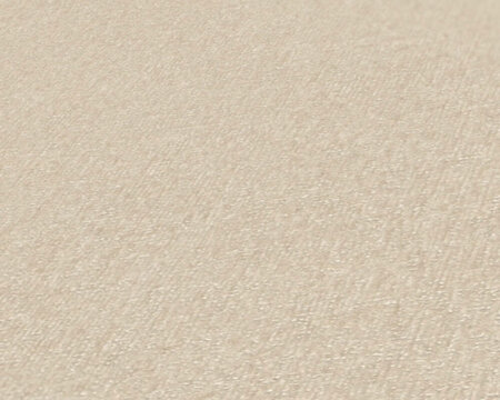 AS Creation Terra - 38925-2 / 389252 Beige