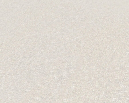 AS Creation Terra - 38925-6 - 389256 Creme / Wit