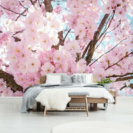 FBK Cherry Blossom Fotobehang 13283