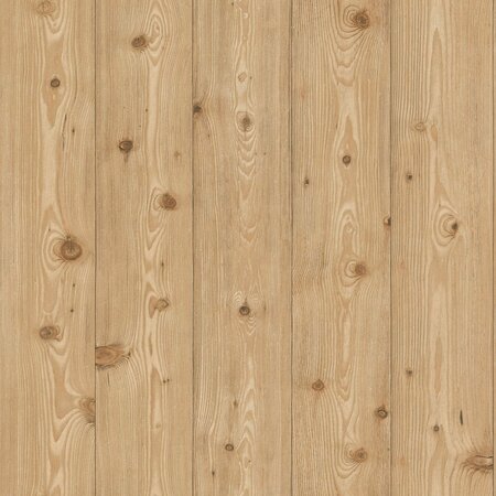 Rasch Selection - 869514 Bruin