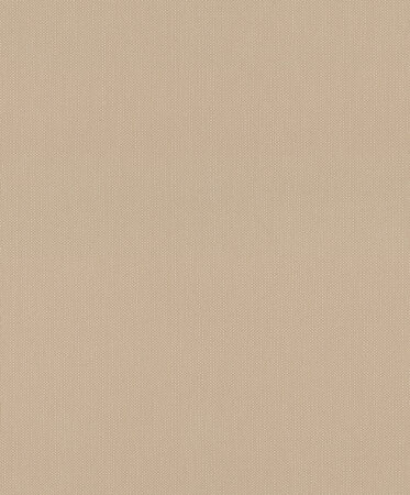 Rasch Deco Style 312416 Beige