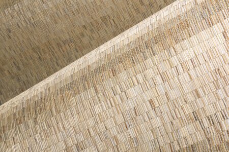 Arte ALL NATURALS FRINGE 40321A Beige / Zilver (Incl. Gratis Lijm*)