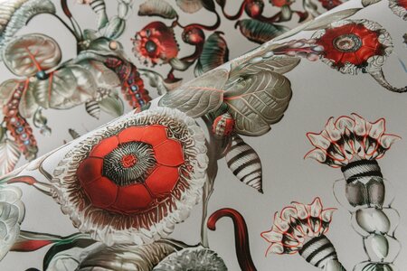 Arte MOOOI GREEN HOUSE COCCINELLA BELLA MO5000 Multicolour (Incl. Gratis Lijm*)