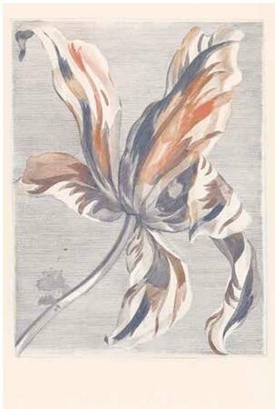 Eijffinger Masterpiece 358116 (met Gratis Lijm!)