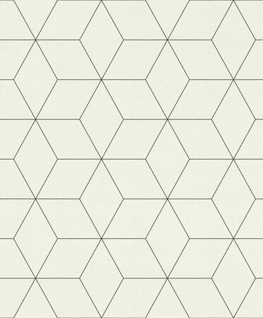Rasch Selection Collectie 624304 Hexagone