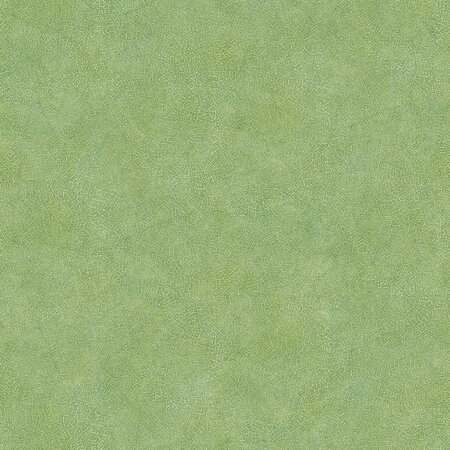 Noordwand Evergreen 7333