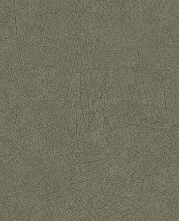Eijffinger Skin 300514 (Met Gratis Lijm!)