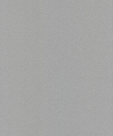 Dutch Wallcoverings Asperia JF1216  zilver