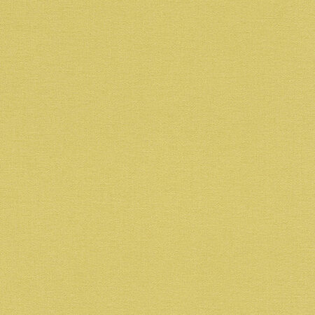 Rasch Kalahari 449839 Groen