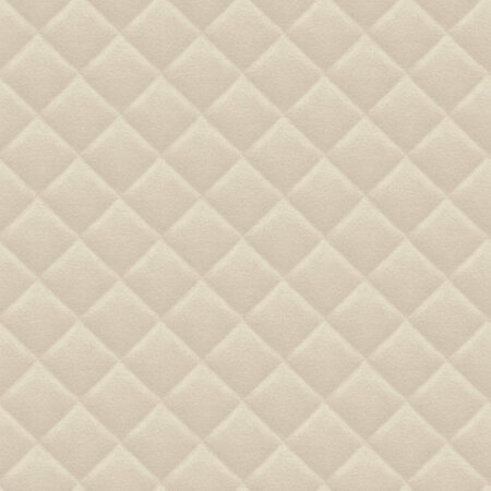 HookedOnWalls Affinity AF24560 (Met Gratis Lijm!)