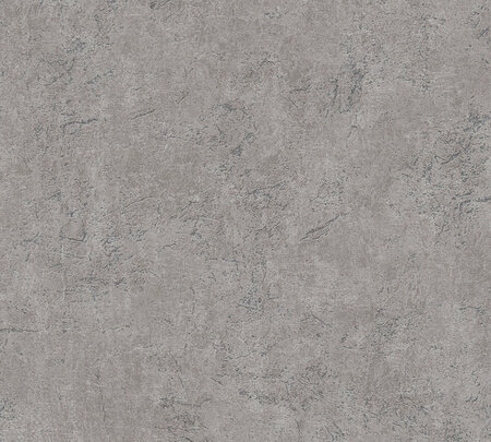 AS Creation Desert Lodge 38484-2 / 384842 Grijs Beton