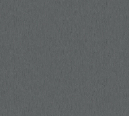 AS Creation Trendwall 2 -  37973-3 - 379733 Grijs Uni / Zwart