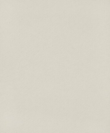 Noordwand Dune 32502 Beige - The New Textures Book