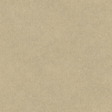 HookedOnWalls TAHITI LEATHER PLAIN TA25021 (Met Gratis Lijm!)