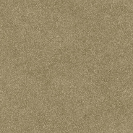 HookedOnWalls TAHITI LEATHER PLAIN TA25022 (Met Gratis Lijm!)