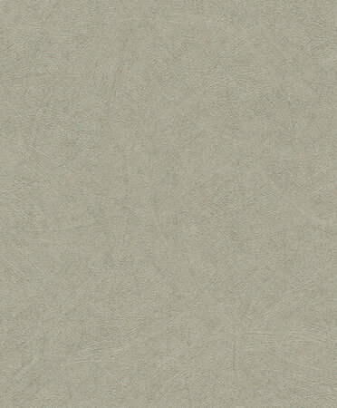 Rasch Concrete 520279