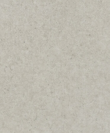 Rasch Concrete 520859